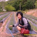 천태산농원 이미지