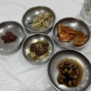 [송도물회] 속초 맛집 : 세꼬시, 물회덮밥 내돈내산 후기