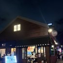 모모카서비스 | 청주 성안길 이자카야 ‘모모카’ 후기 | 분위기, 음식, 다 만족했던 하루