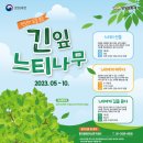 느티나무 일원 이미지