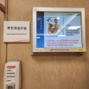 유방5통 이미지