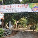 삼칠농장 이미지