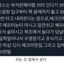오션수영장 이미지
