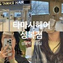 타마시헤어(성복점) 이미지