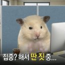 동진로49번길 | 출장취소로 내 일주일이 무너졌어 웅앵