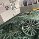 전국카센타 이미지