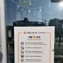 커피나무 79