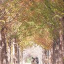 큰맘할매순대국 영월남면점 이미지