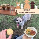 진주애견카페 힐브리즈 여름 재방문후기
