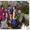 소풍 Daum카페