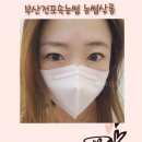 지하철 2호선 전포역 | 부산 전포속눈썹 눈썹살롱 가볍고 이질감없는 속눈썹 연장 솔직후기