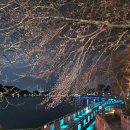 은파호수공원 9-5 이미지