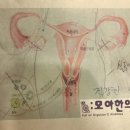 정방한의원 이미지