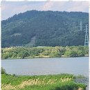 아주행정사사무소 이미지