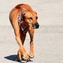 주식회사 에이엘 이미지