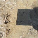 현대농장 이미지