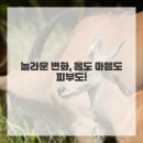 건강과 피부 고민 해결
