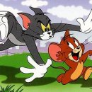 톰과제리 이미지