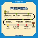 영덕 1박2일 여행코스 대게부터 풍력발전소까지 알찬 후기!