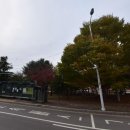 문산여객 | 파주 문산에서 인천공항 리무진 버스 시간표 예매 타는곳 완벽 정리
