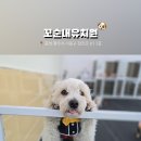 꼬순내유치원 이미지