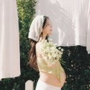 나비나