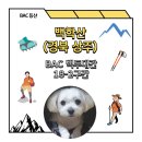 월림1리 마을회관 | BAC 백두대간 백학산 18-2구간 최단 코스(상주 대포리 코스)