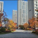 고산동물병원 이미지