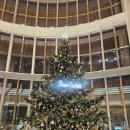 멍멍스타 | 롯데 시그니엘 서울 STAY 스테이 미슐랭 3스타 쉐프 레스토랑 식사권 구매 후기