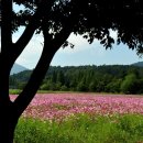 덕산온천관광단지 이미지