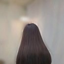 다다붙임머리앤(&)케어샵 네이버블로그