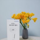 루헨스 주방 정수 필터로 안심하고 사용해요