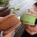 카페모니카 이미지