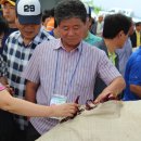 안동고추