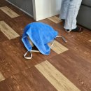 비둘기공원 화장실 | [퇴사하고 치앙마이 1일차] 치앙마이에서 비둘기 똥맞아본 사람 (사원투어, 나이트마켓, 마사지, 타패...