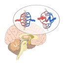 브니엘요양병원 이미지