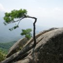 가조소림사 이미지