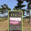 곰나루 | 공주 웅진곰나루파크골프장, IMP 파크골프공과 함께한 즐거운 라운드