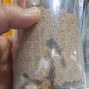 멍이네 하우스 이미지