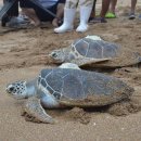 푸른바다 이미지