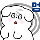 온누리 동물의료센터 이미지