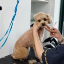 수원-0591 이미지