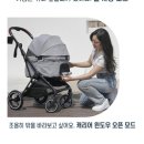 하남오토랜드 | 강아지유모차/낫쏘빅/네로맥스/오토폴딩유모차/하남스타필드/몰리샵
