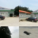 사천승마장 이미지