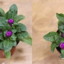 하장초등학교 이미지