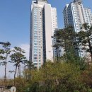 서울청담초등학교 이미지