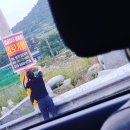 영모가발 이미지