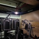 스타짐23 이미지