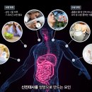 “전혀 몰랐는데”… 매일 하는 ‘이것’, 내 신진대사 엉망으로 만들어 이미지