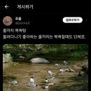 십중팔구